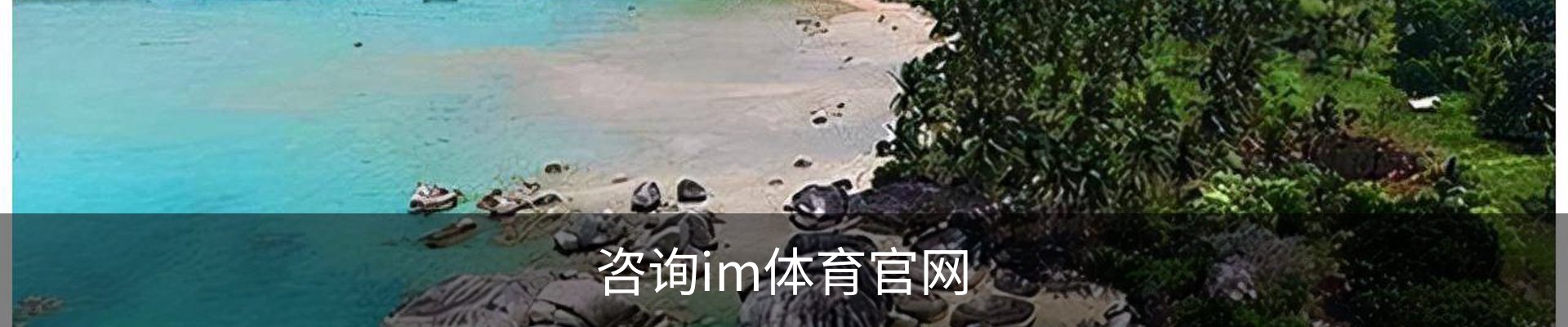 咨询im体育官网